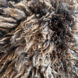 Shetland mix (Brown-M)