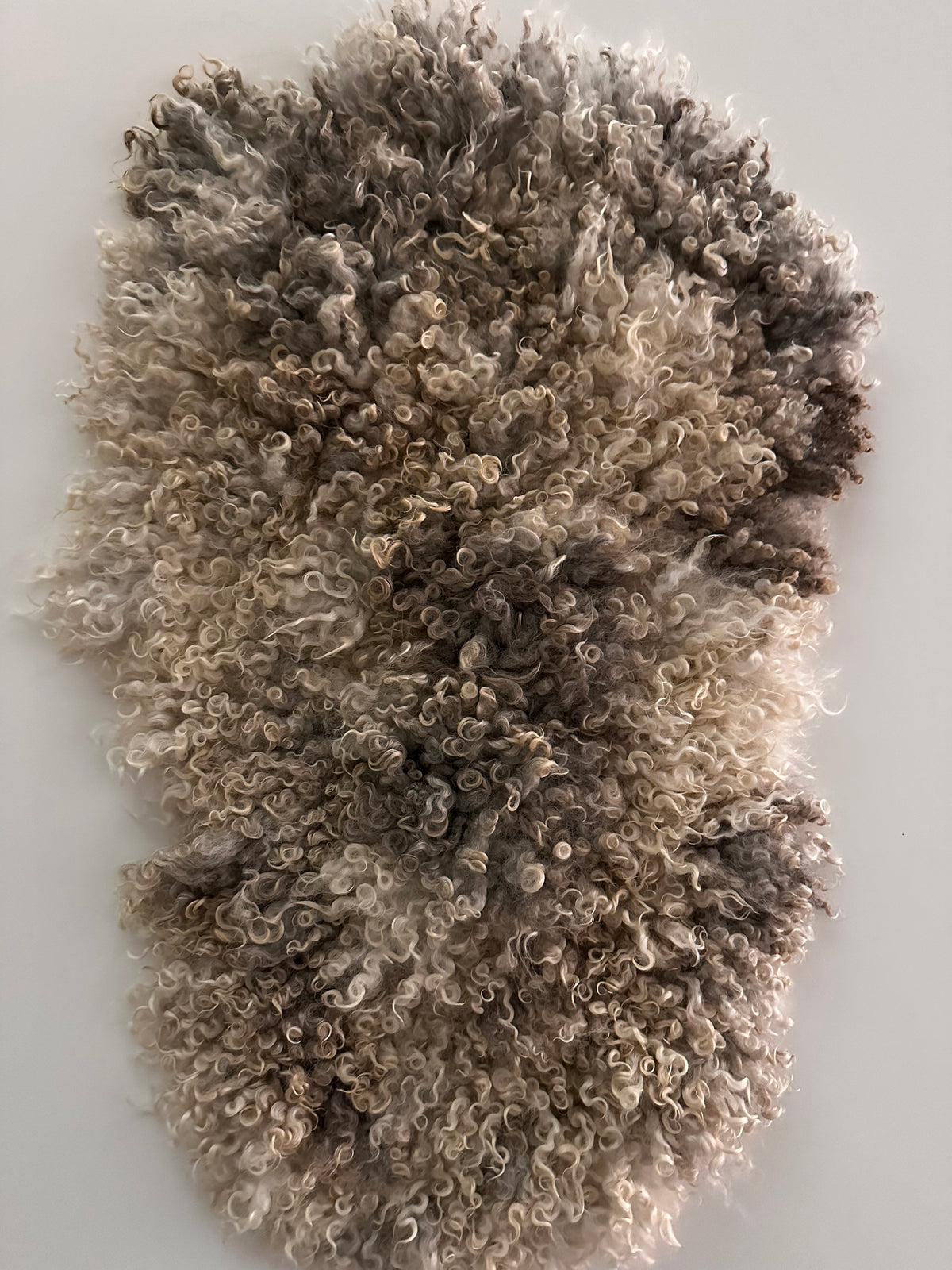Cotswold (Cream/grey, Oval-M)