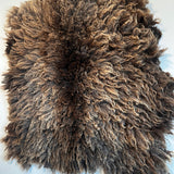 Shetland mix (Brown-M)