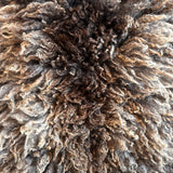 Shetland mix (Brown-M)