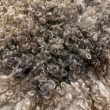 Cotswold (Cream, curly/dense-XL)