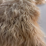 Racka (Cream,long locks- L)
