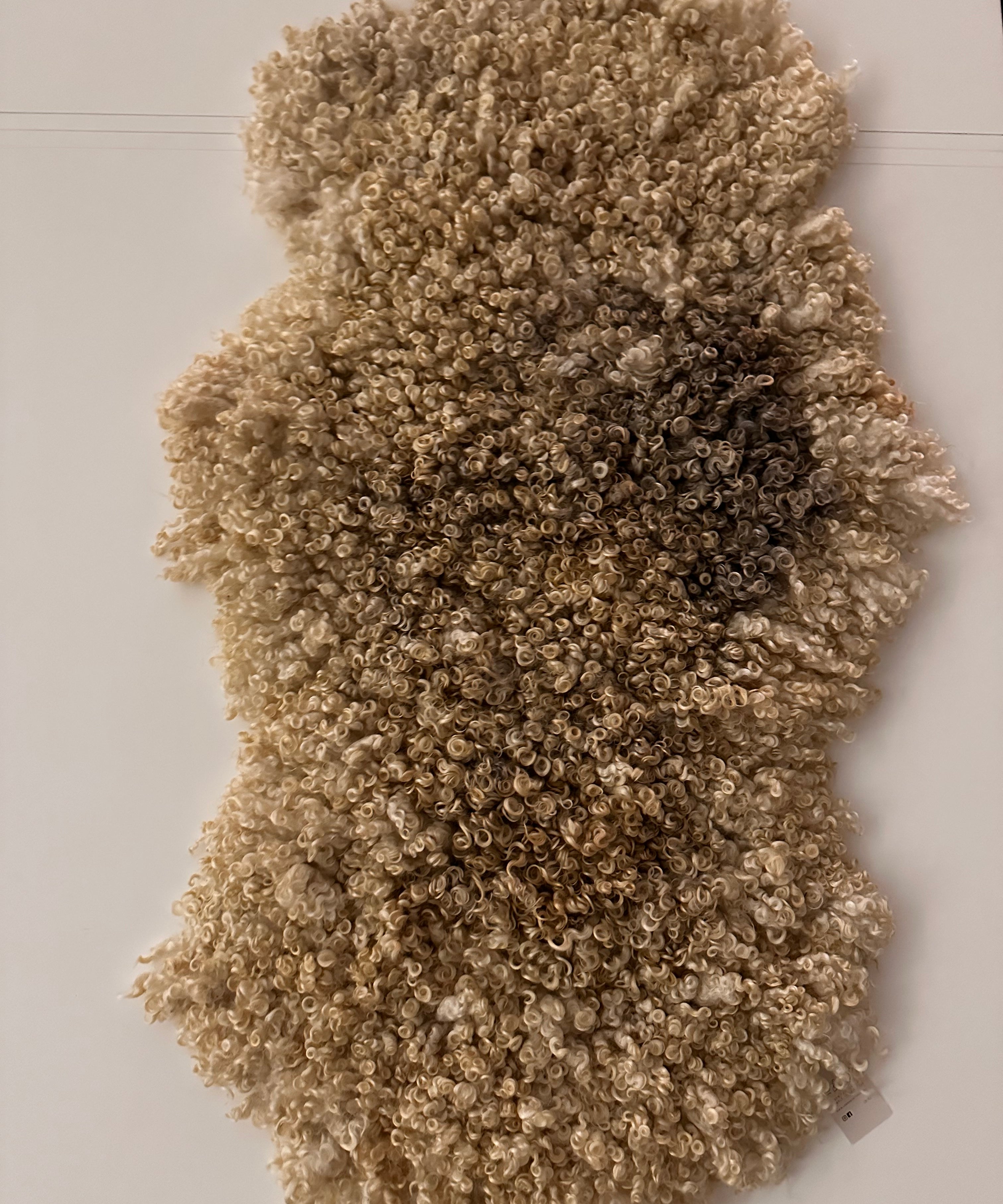 Cotswold (Cream, curly/dense-XL)