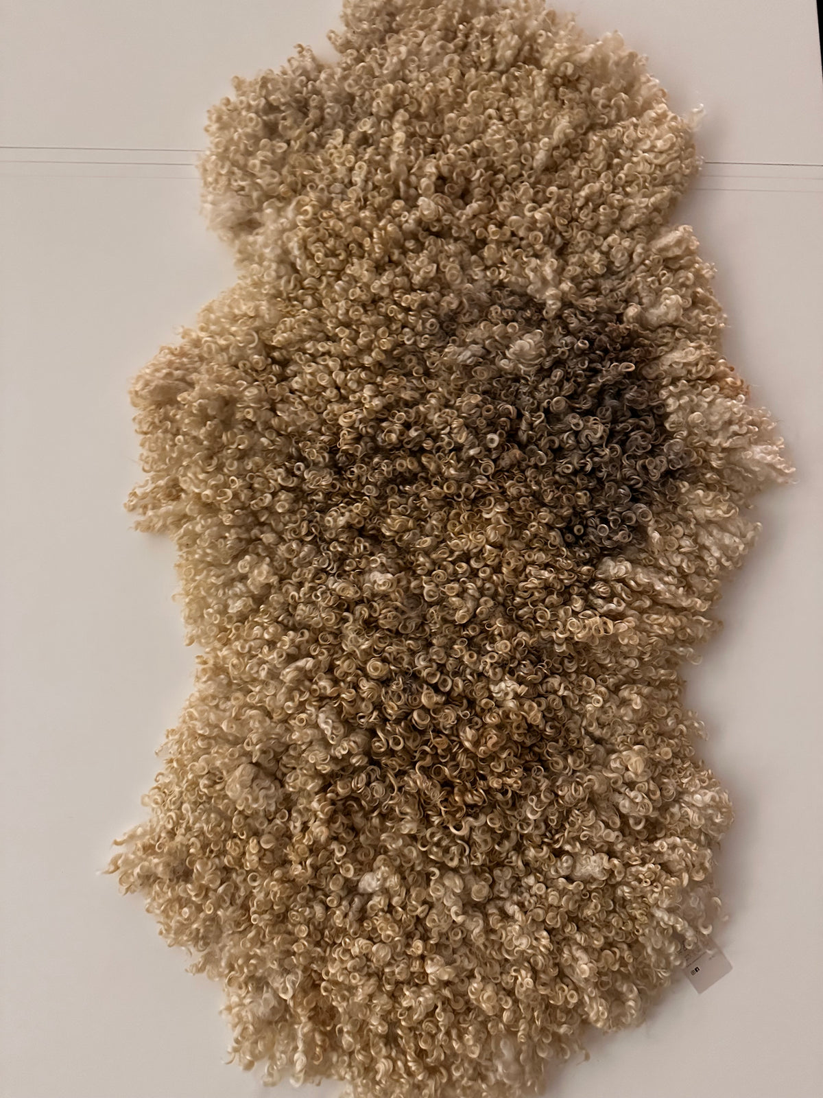 Cotswold (Cream, curly/dense-XL)