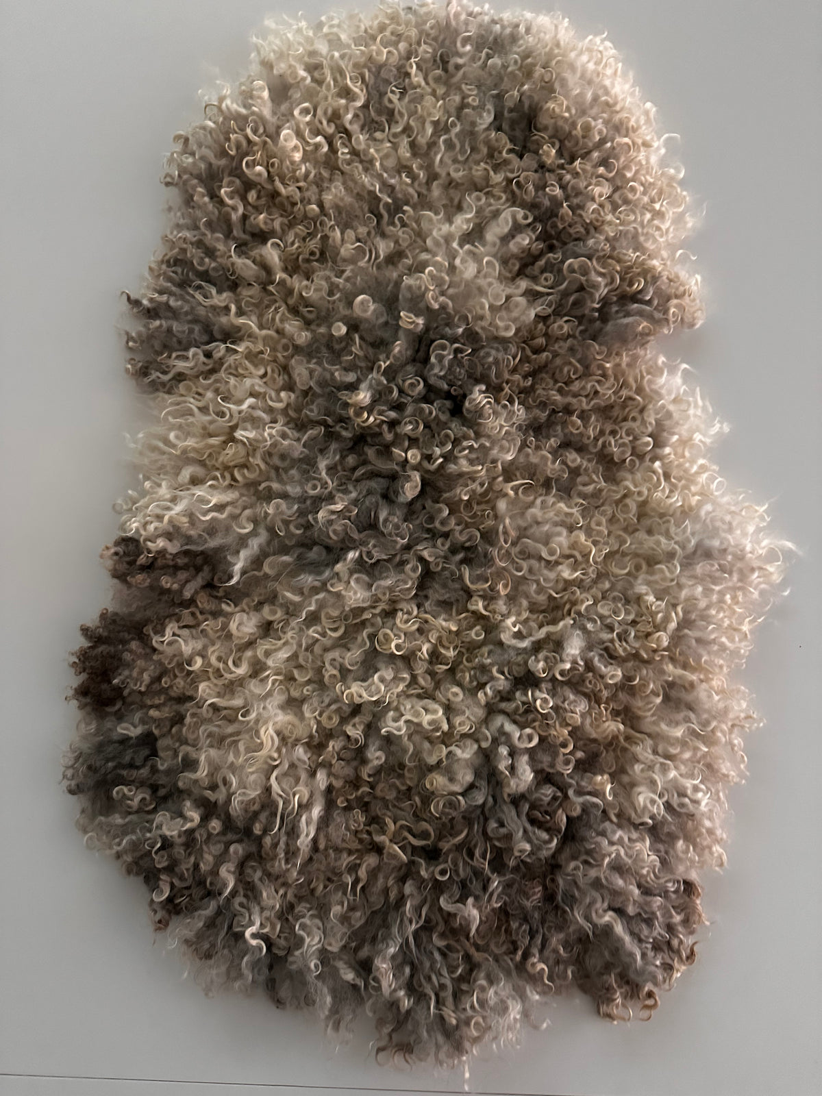 Cotswold (Cream/grey, Oval-M)