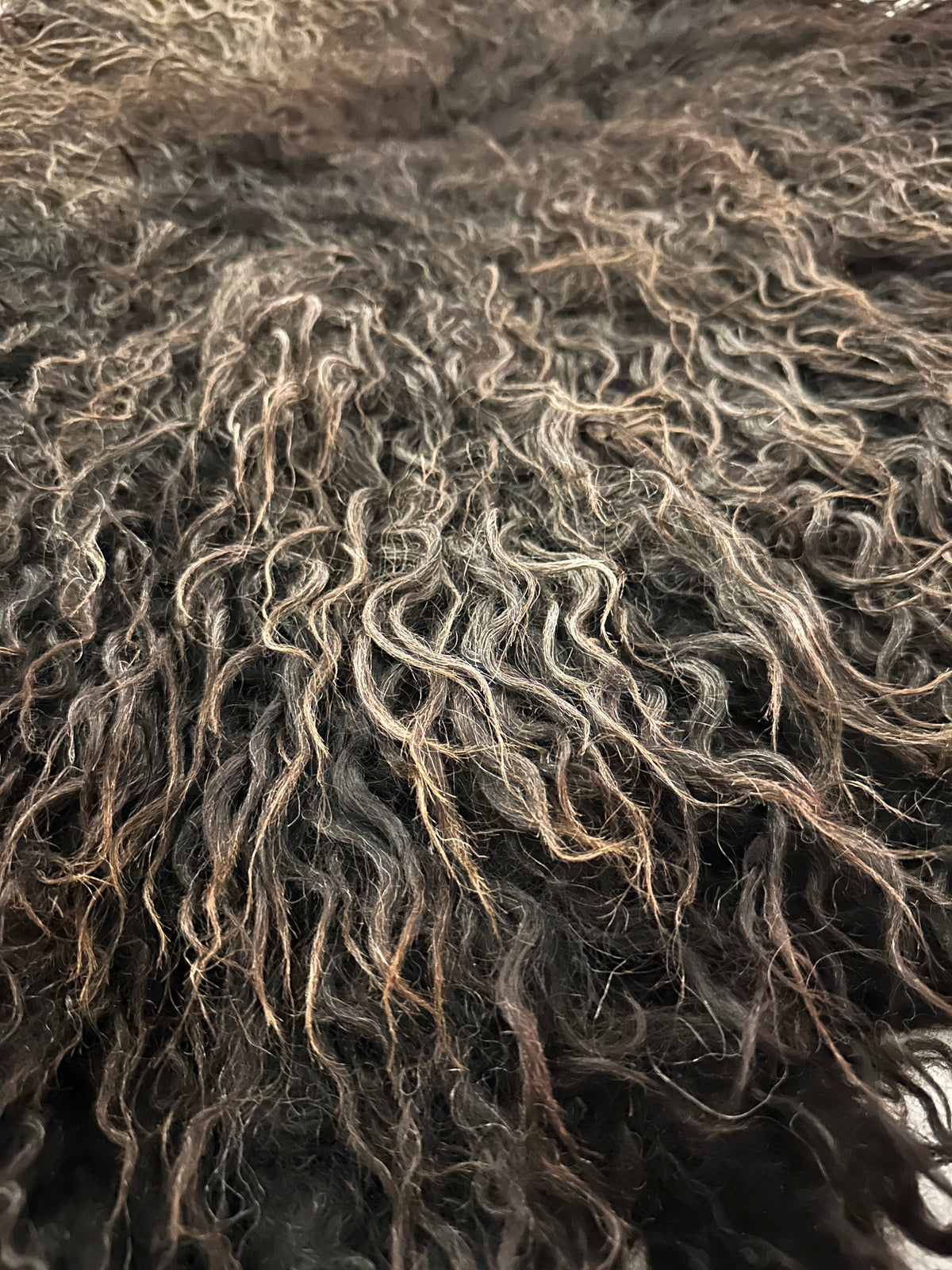 Hebridean (Black/silver lustre-M)