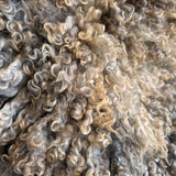 Cotswold (Cream/grey, Round-S)- IMPERFECT