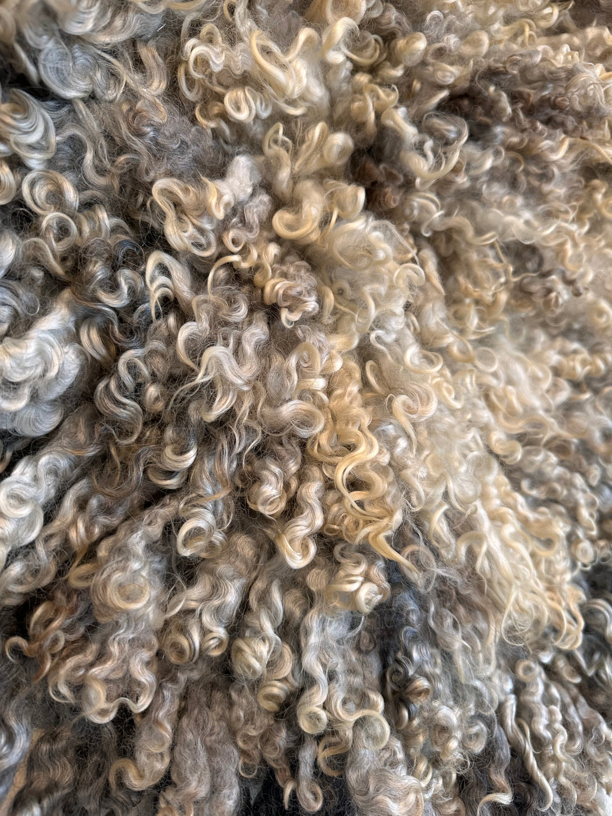 Cotswold (Cream/grey, Round-S)- IMPERFECT