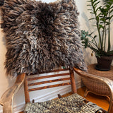 Shetland mix (Brown-M)