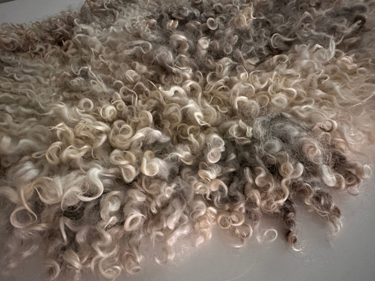 Cotswold (Cream/grey, Oval-M)