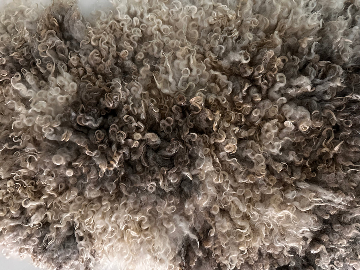 Cotswold (Cream/grey, Oval-M)