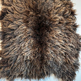 Shetland mix (Brown-M)