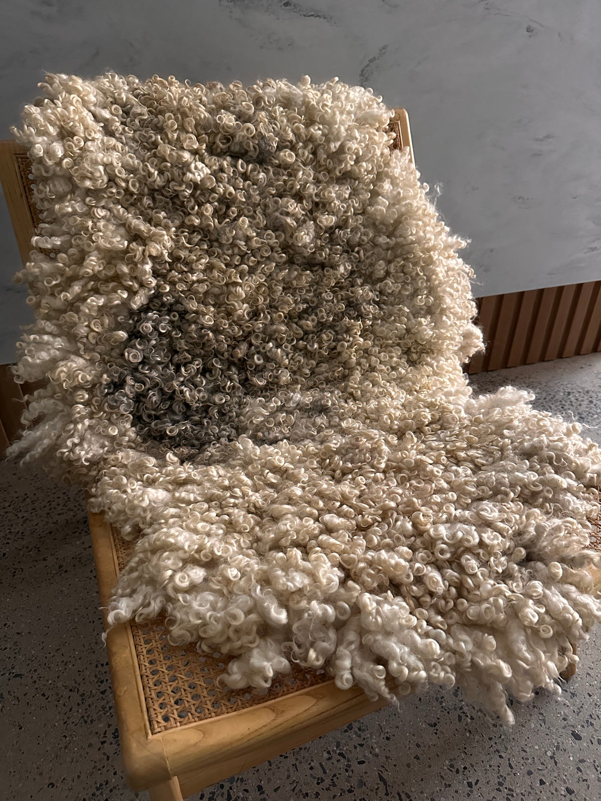Cotswold (Cream, curly/dense-XL)
