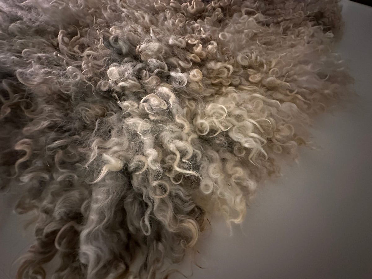 Cotswold (Cream/grey, Oval-M)