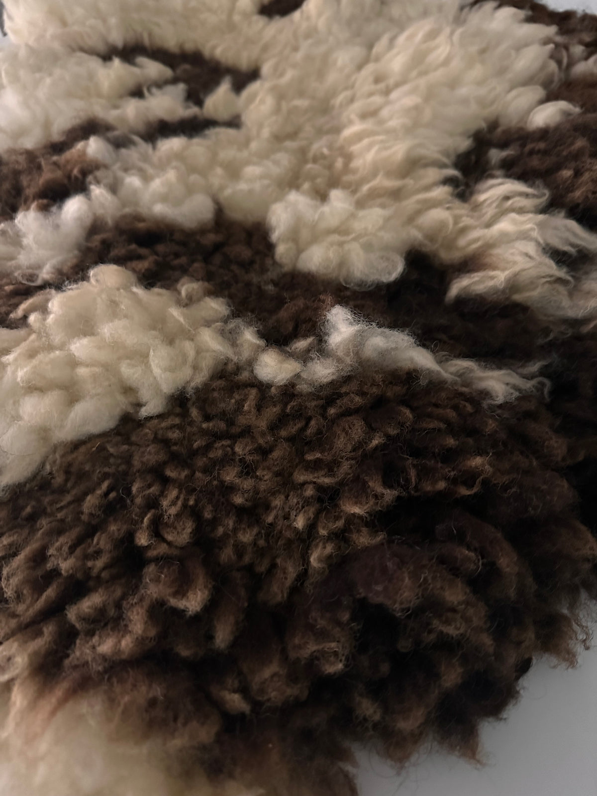 Jacob (Cream &amp; Brown-M)