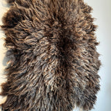 Shetland mix (Brown-M)