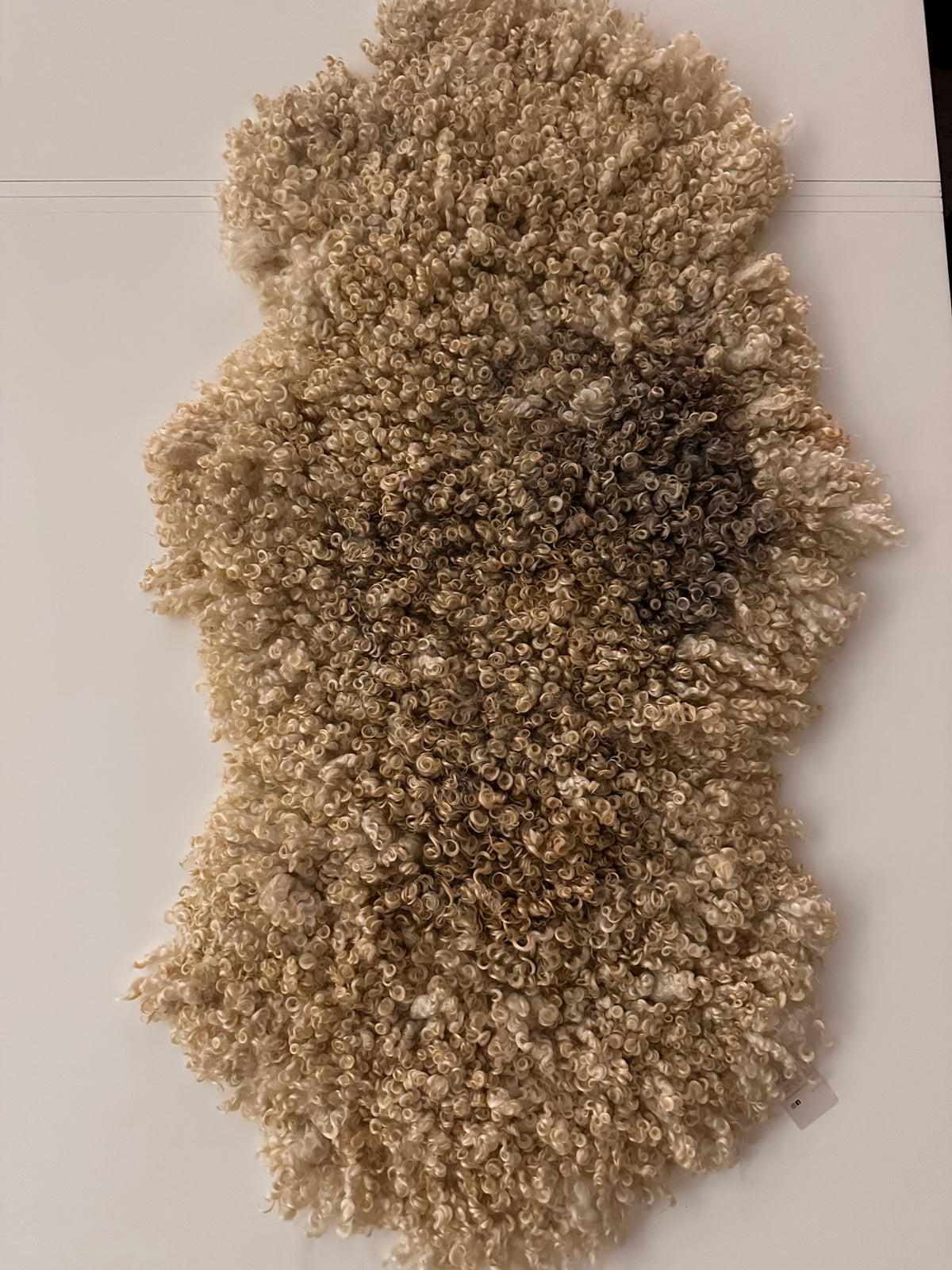Cotswold (Cream, curly/dense-XL)