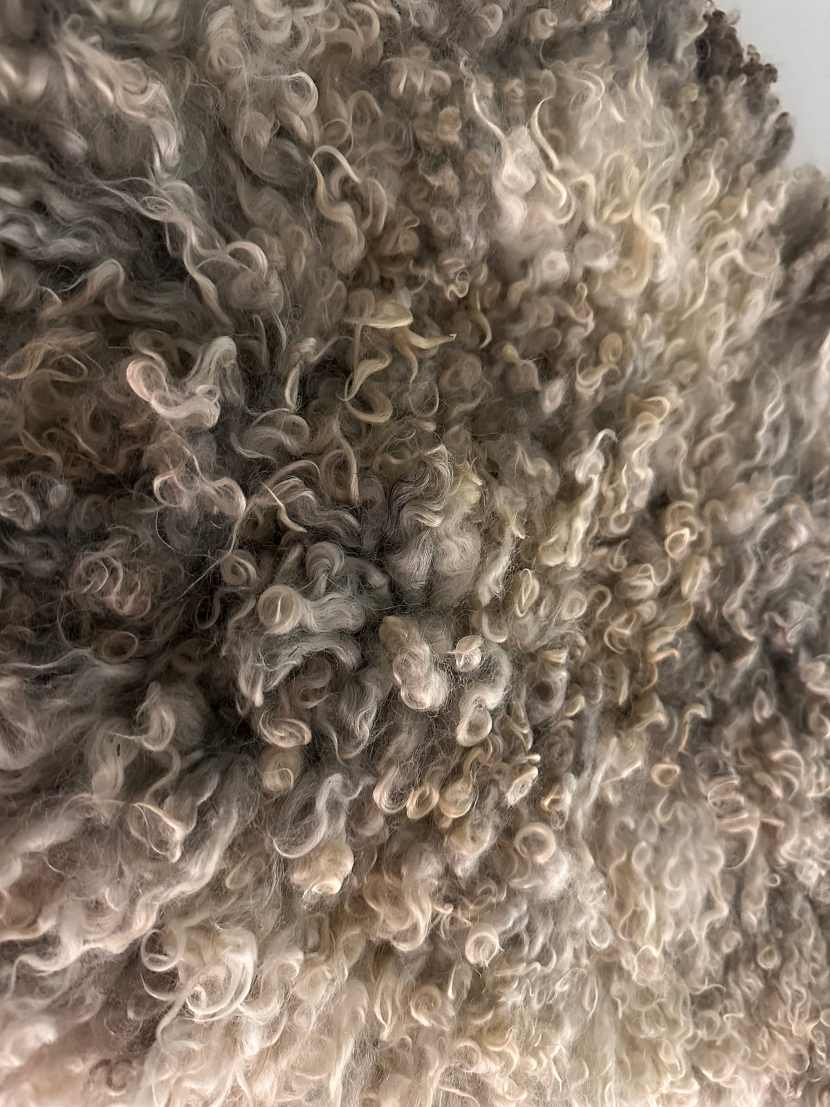 Cotswold (Cream/grey, Oval-M)
