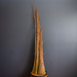 Irette (Salix purpurea) - Dormant Rods/Whips