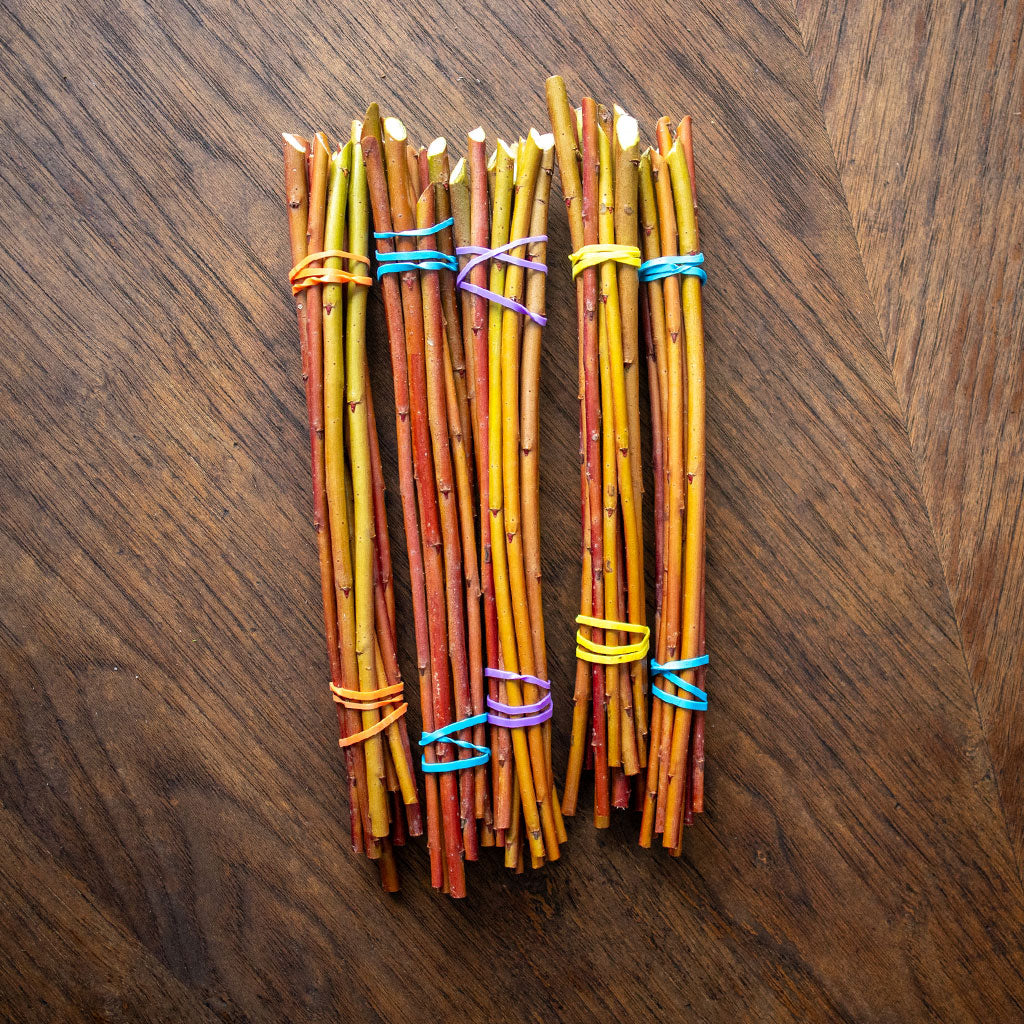 Packing Twine (Salix Purpurea) - Dormant Cuttings